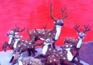 教學(xué)儀器的分類與應(yīng)用 從教具到動物標本的全面解析